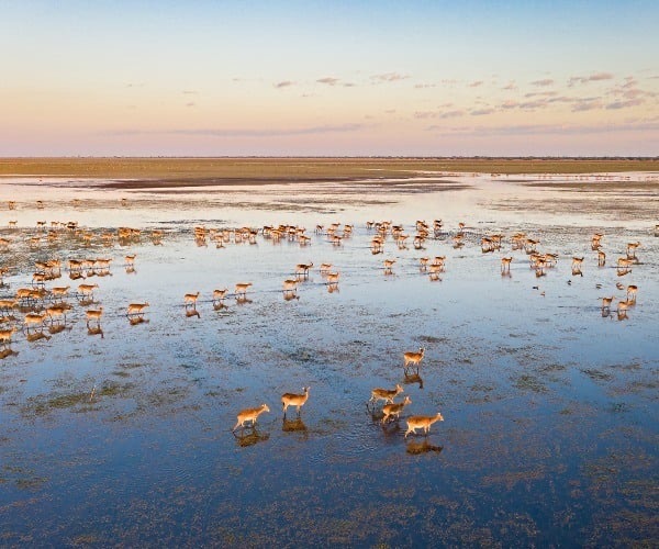 Bangweulu Wetlands