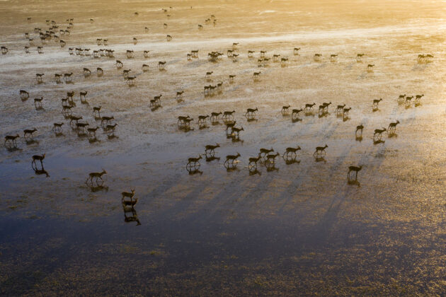 Bangweulu Wetlands
