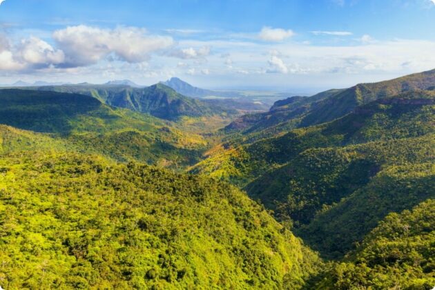 Black River Gorges National Park