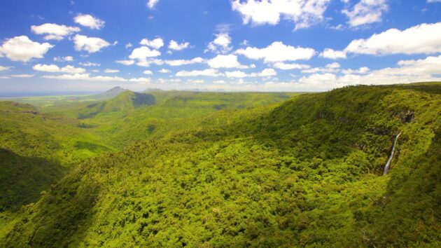 Black River Gorges National Park