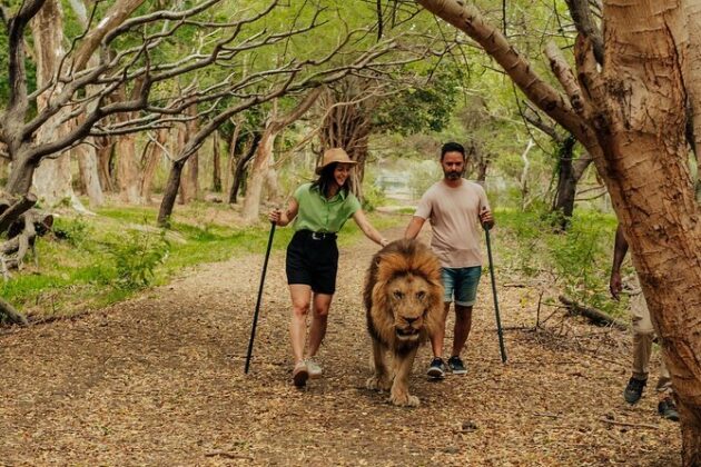 Casela Nature & Leisure Park