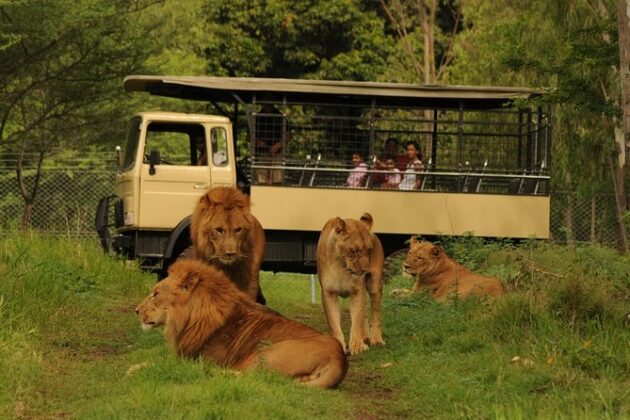 Casela Nature & Leisure Park