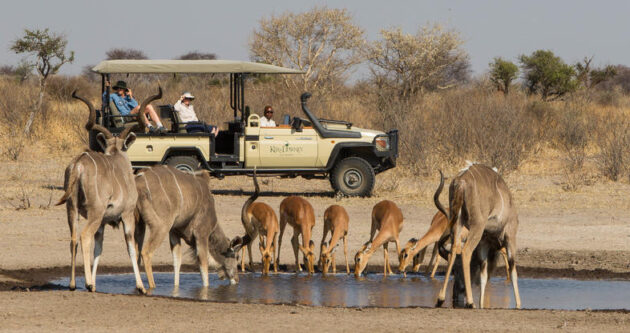 Central Kalahari Game Reserve