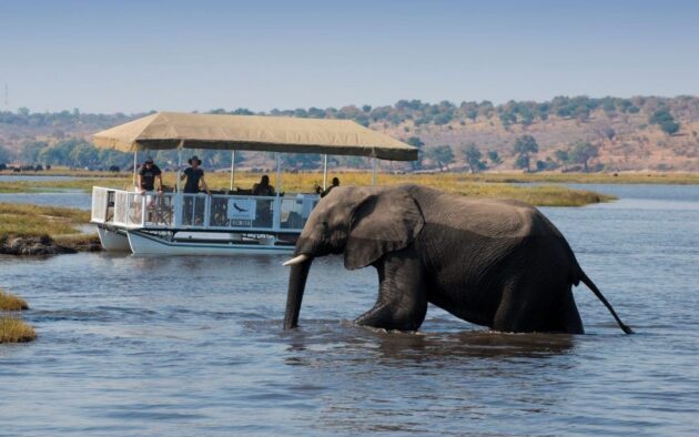 Chobe National Park