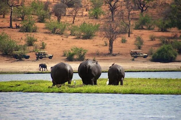 Chobe National Park