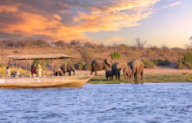 Chobe National Park