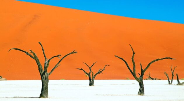Deadvlei