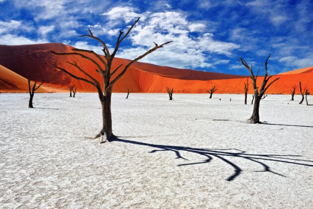 Deadvlei
