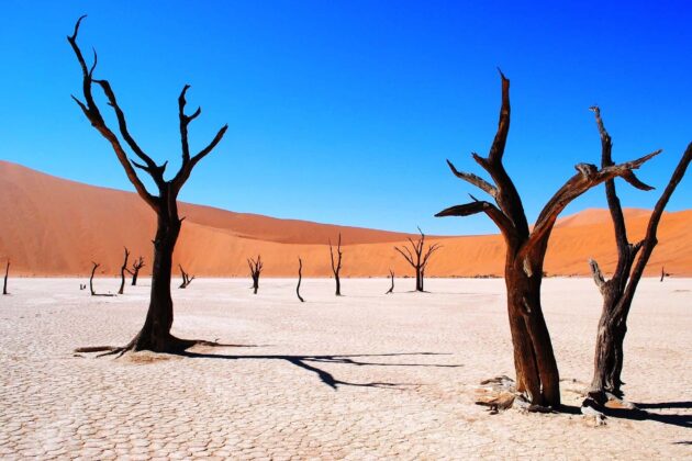 Deadvlei