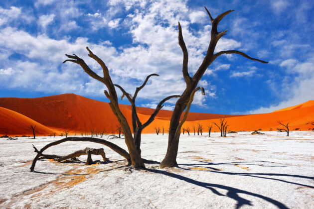 Deadvlei