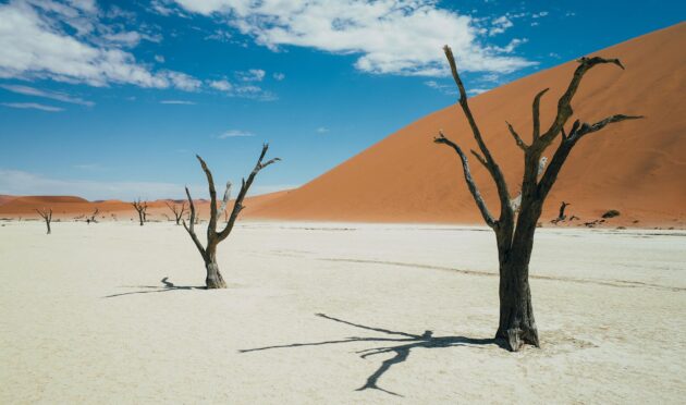 Deadvlei