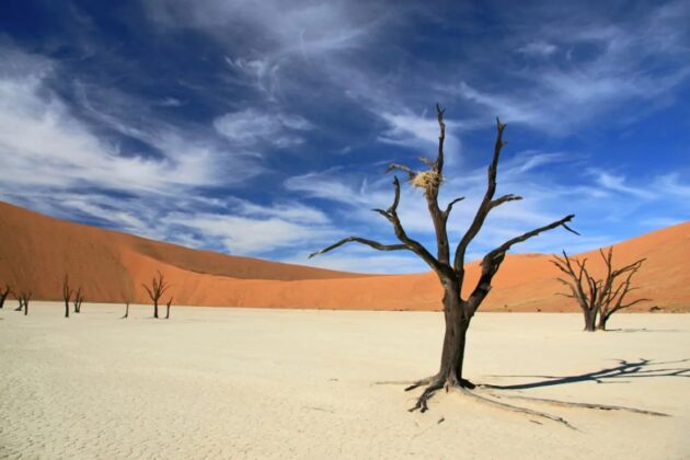 Deadvlei