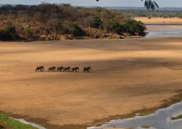Gonarezhou National Park