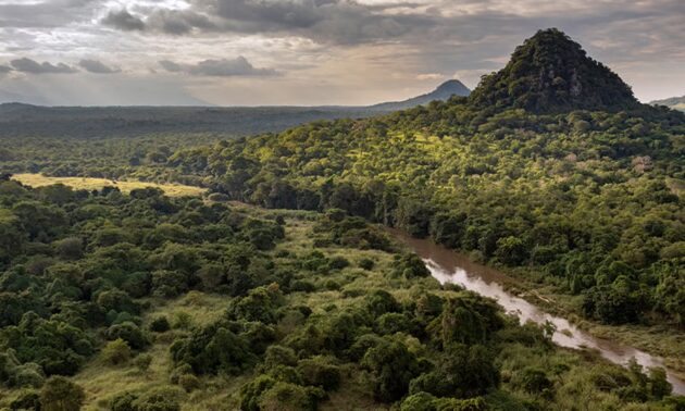 Gorongosa National Park