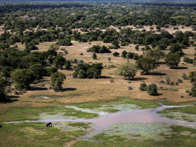 Gorongosa National Park