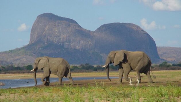 Gorongosa National Park