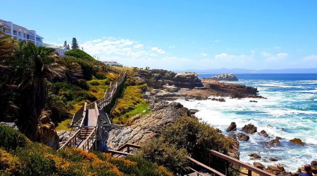 Hermanus