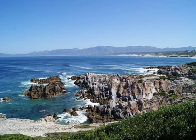 Hermanus