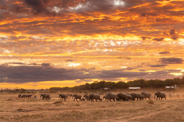 Hwange National Park