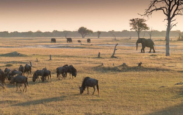 Hwange National Park