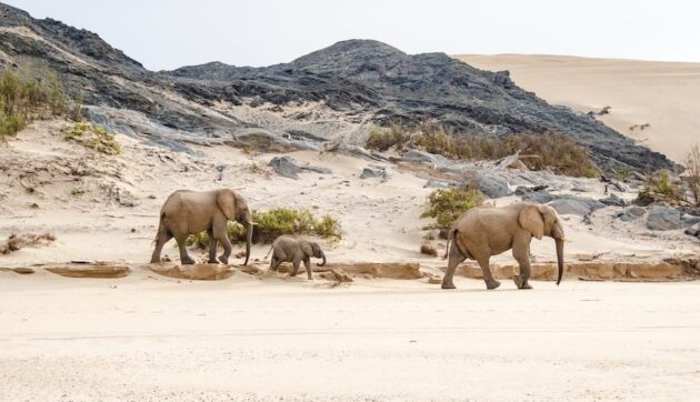 Iona National Park