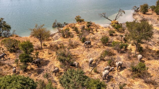 Kafue National Park