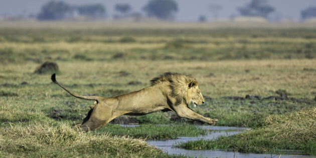 Kafue National Park