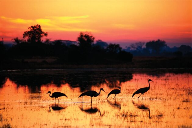 Kafue National Park