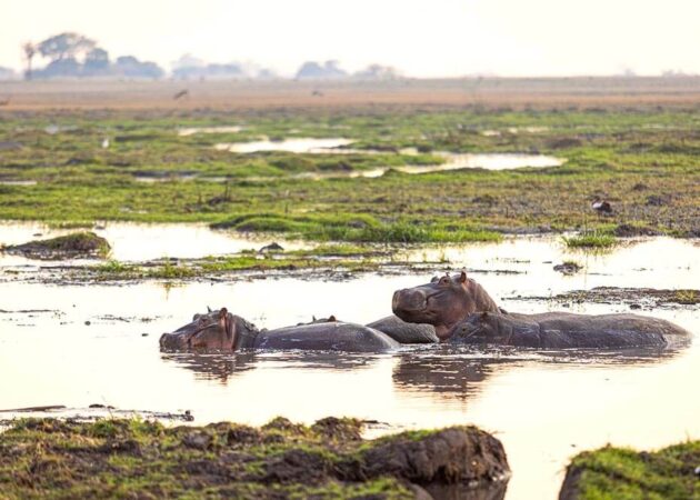 Kafue National Park