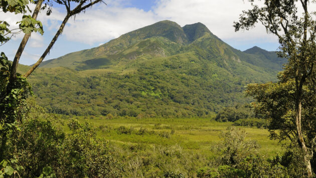 Kahuzi-Biega National Park