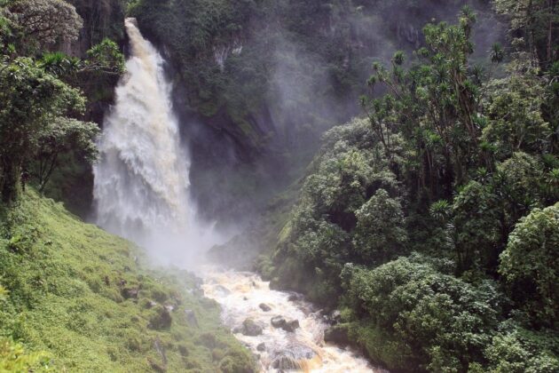Kahuzi-Biega National Park