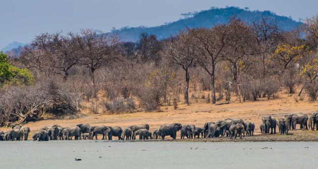Kasungu National Park