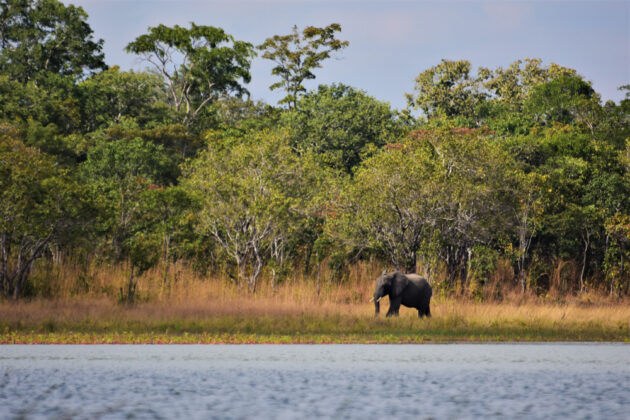 Kasungu National Park
