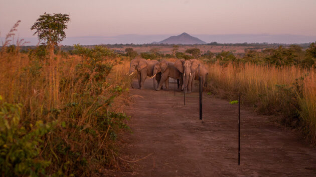 Kasungu National Park