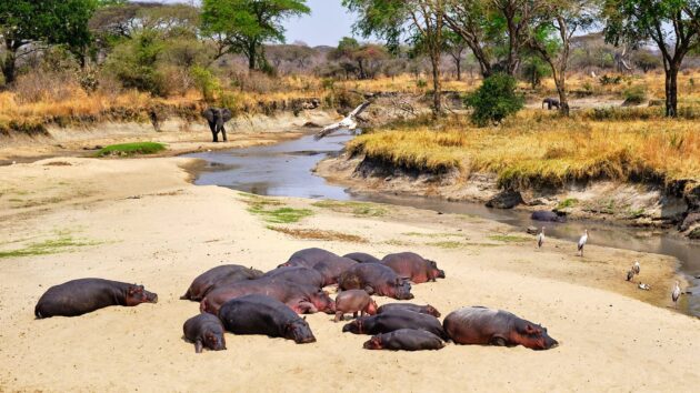 Katavi National Park