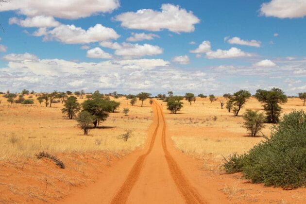 Kgalagadi Transfrontier Park