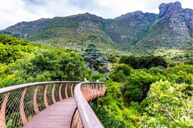 Kirstenbosch National Botanical Garden