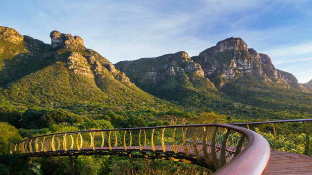 Kirstenbosch National Botanical Garden