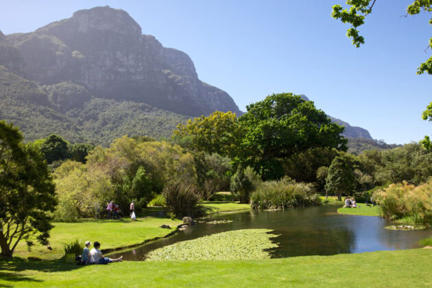 Kirstenbosch National Botanical Garden