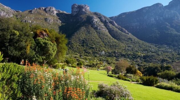 Kirstenbosch National Botanical Garden