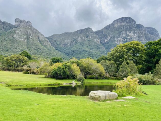 Kirstenbosch National Botanical Garden