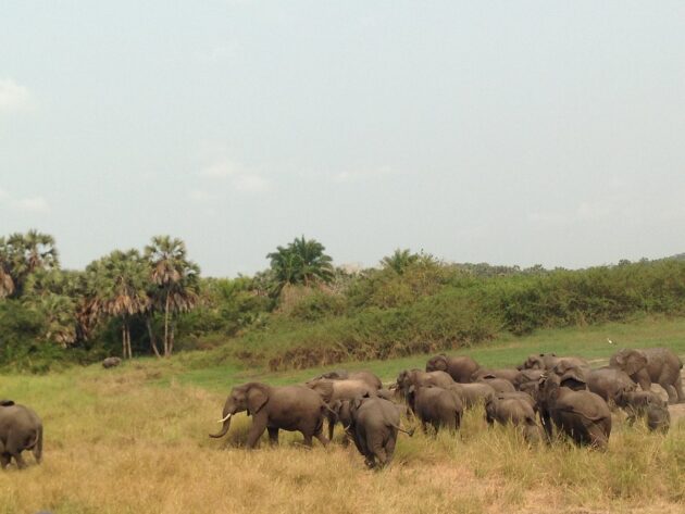 Kissama National Park