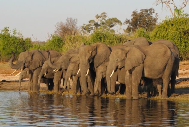 Kissama National Park