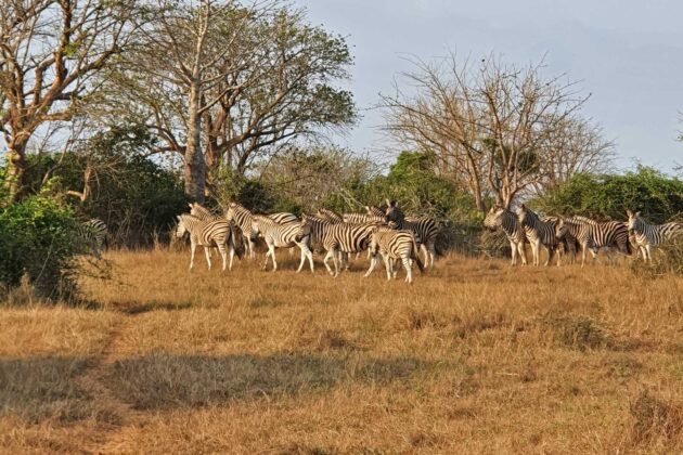 Kissama National Park