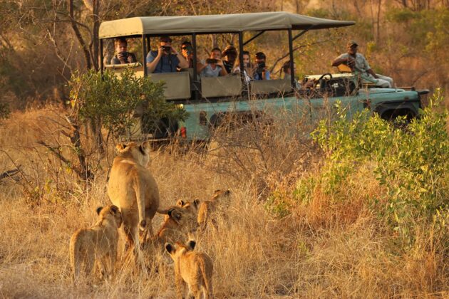 Kruger National Park