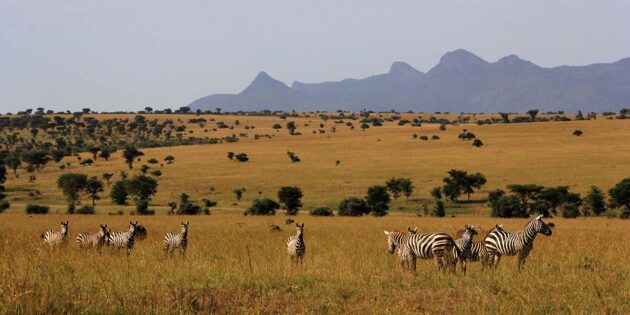 Lake Mburo National Park