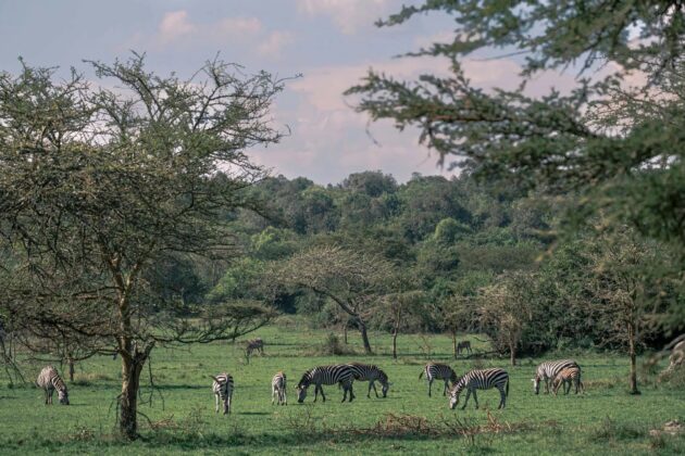Lake Mburo National Park