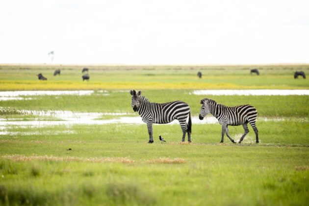 Liuwa Plain National Park