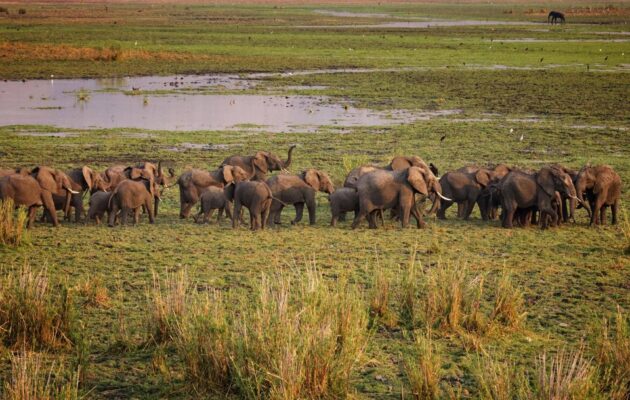 Liwonde National Park