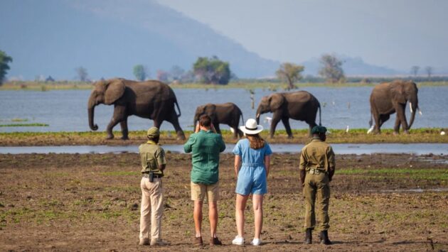 Liwonde National Park
